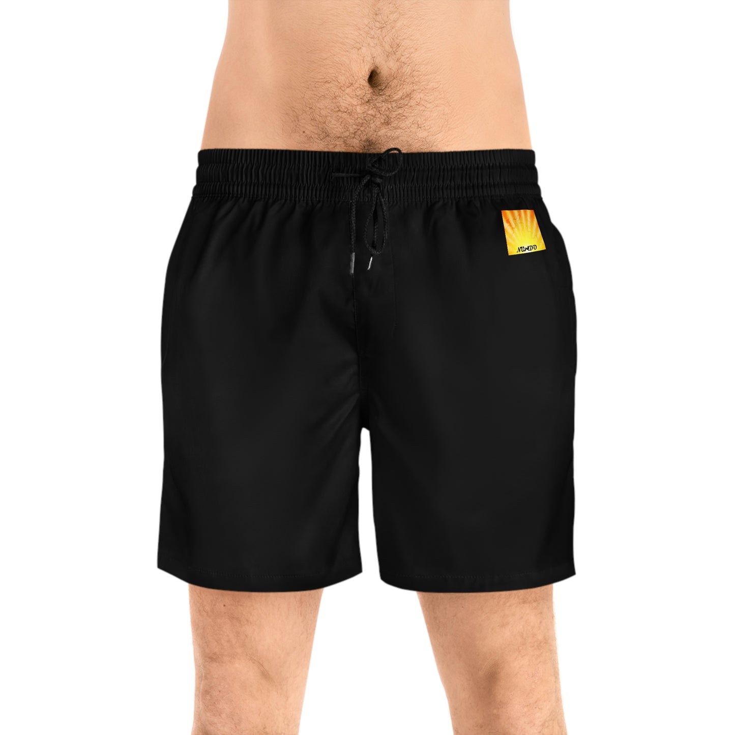 "Lake Travis Dragon" Men's Mid-Length Swim Shorts